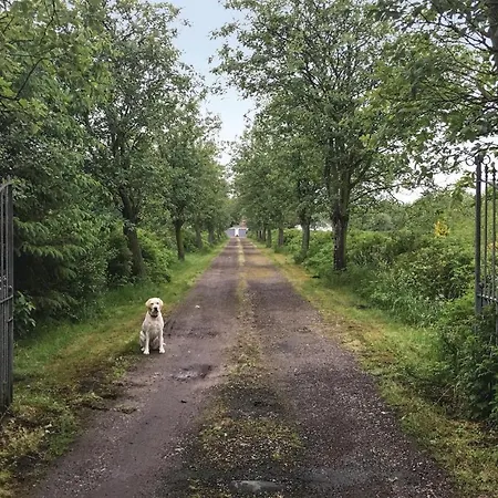 4 Bedroom Pet Friendly In Σπίτι διακοπών *